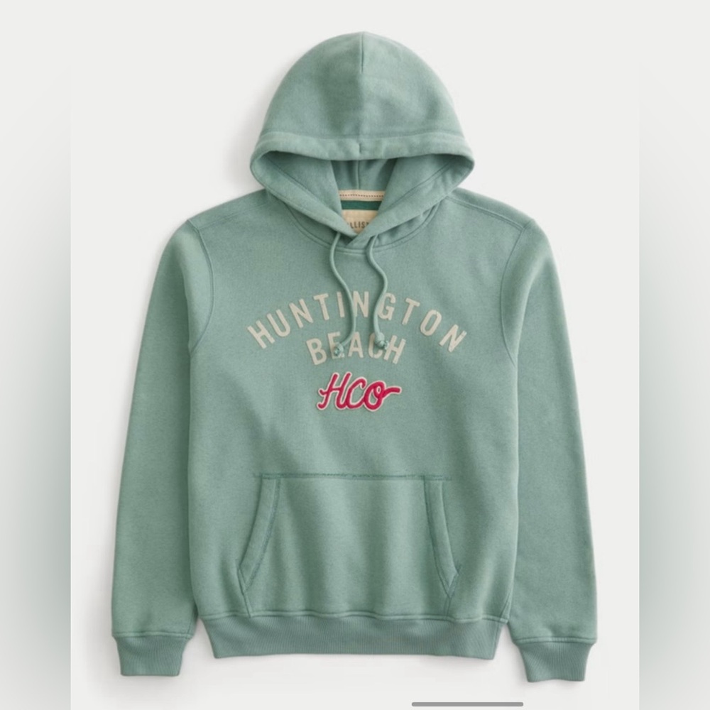 Hollister Logo Graphic Hoodie - Light Green - XS Mens - NEW w/ TAG (Vintage Y2K)